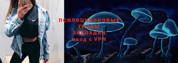 МДПВ Алзамай