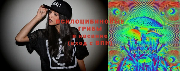 МДПВ Алзамай