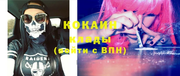 МДПВ Алзамай
