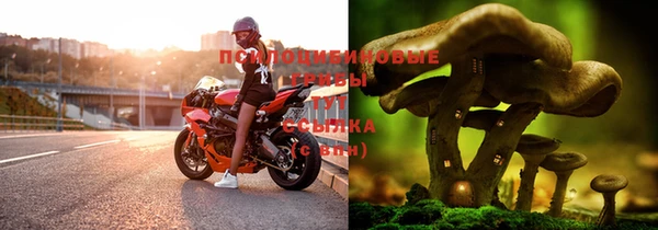 МДПВ Алзамай