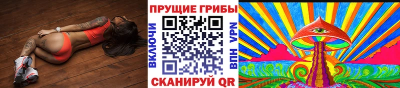 Галлюциногенные грибы Psilocybine cubensis наркотики Богучар